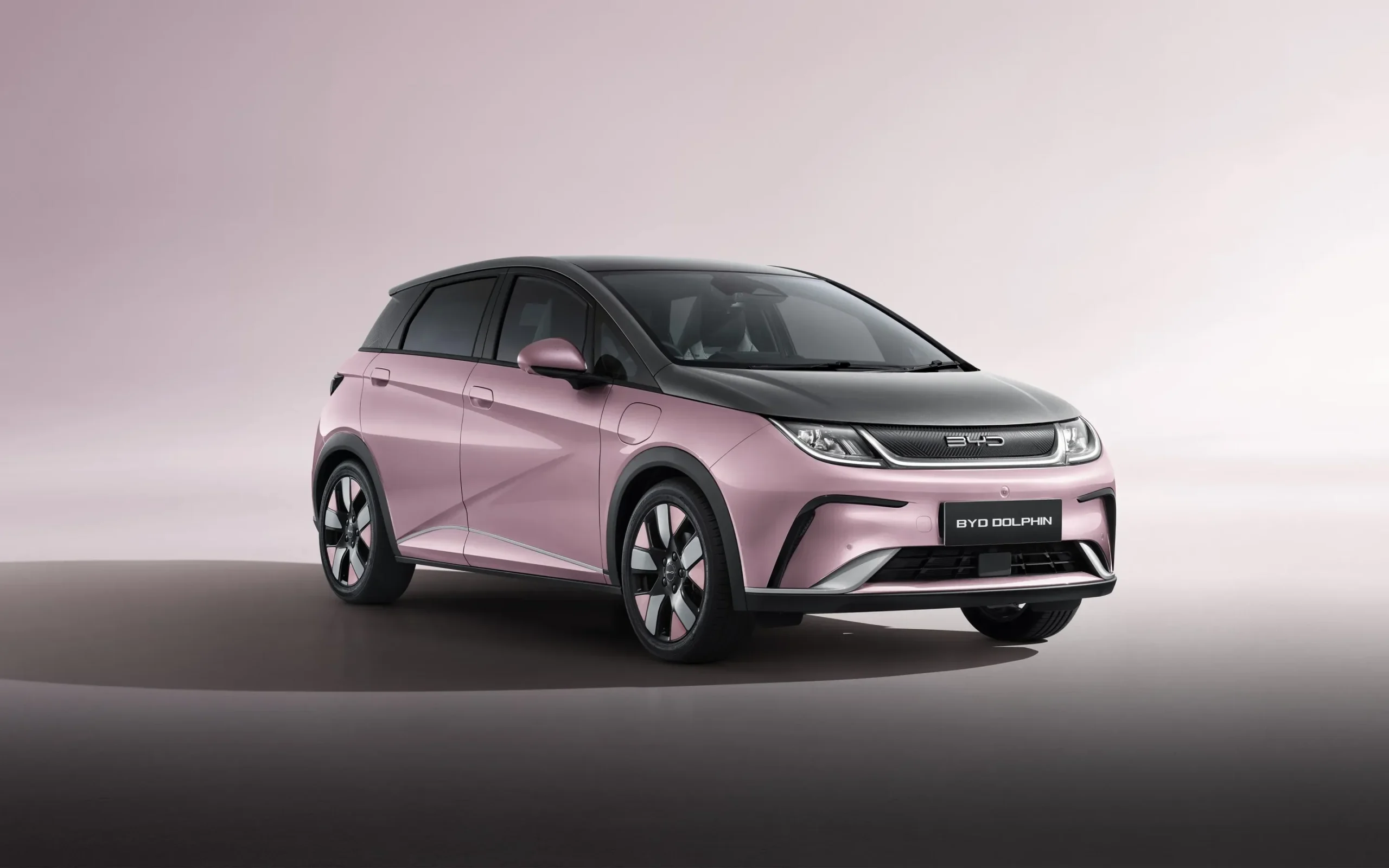 BYD Dolphin official vehicle image